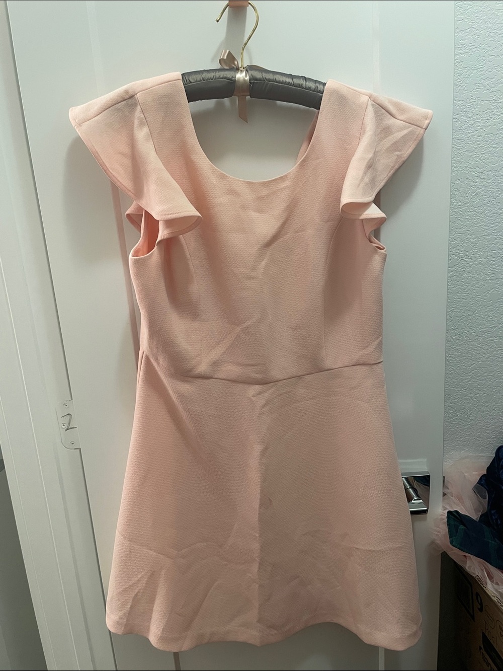 BCBGeneration Light Blush Pink Ruffle Sleeve Mini Dress